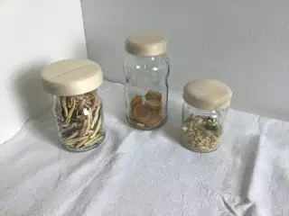 Opbevaringsglas