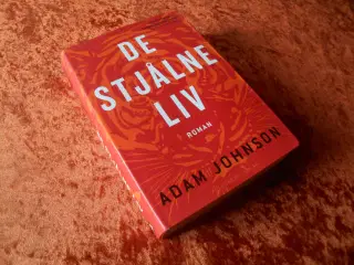  De stjålne liv, Adam Johnson