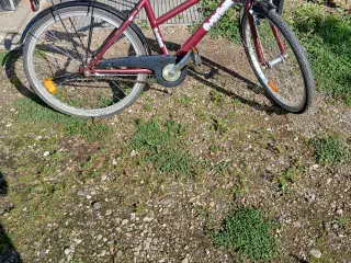 pigecykel