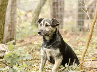 Skønneste Mona søger sit helt eget hjem