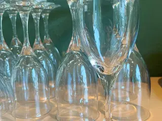 Holmegaard Malene glas