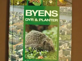 byens dyr og planter, af tommy dybbro, emne: natur