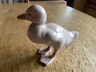 BG STÅENDE ÆLLING