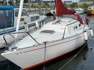 Albin Accent 26 - skøn sejlbåd