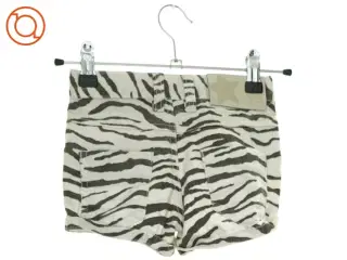Shorts fra Molo (NUM) (str. 110 cm)
