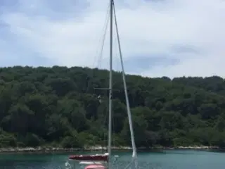 Andel i sejlbåd i Kroatien