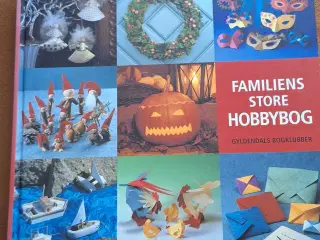 Familiens store hobbybog 