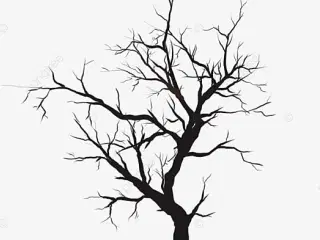 3 undulater i stort bur kan afhentes gratis