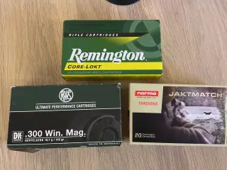 .300 WIN MAG ammunition