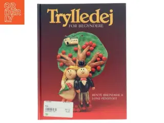 Trylledej for begyndere bog