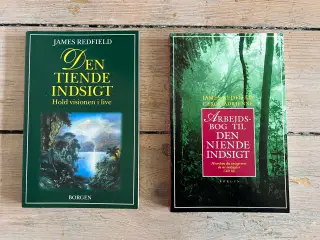 Den niende og tiende indsigt