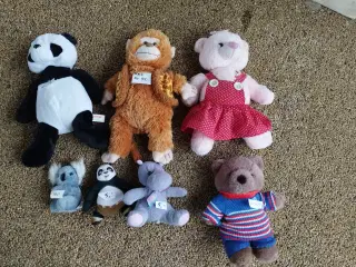 Forskellige bamser/krammedyr Sælges