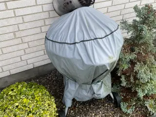 Weber kulgril
