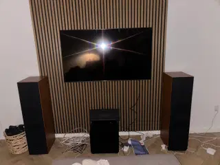 🎵 DALI Blue 8008 gulvhøjttalere – flot stand