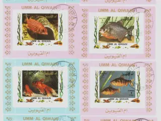 Umm Al Qiwain, fisk
