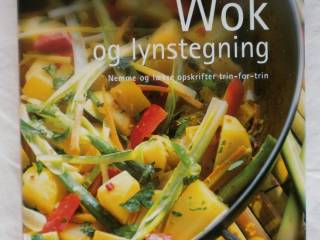 Wok og Lynstegning
