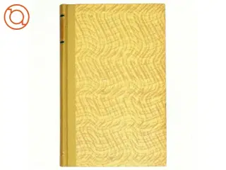 Manden som havde slået ihjel af Poul-Henrik Trampe