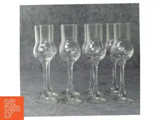 Glas (str. 17 x 5 cm)