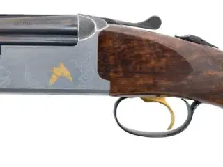 Jaguar FX Golden Birds STV 12/76 76cm