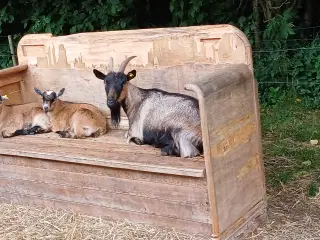 Gedekid og mor Berta 