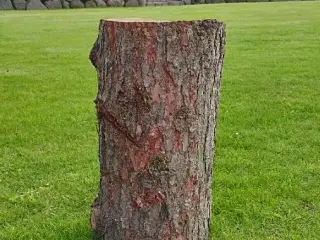 Sømblok: