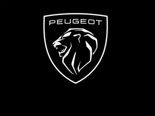 Søger Peugeot 107/206/206+207 der skal laves 