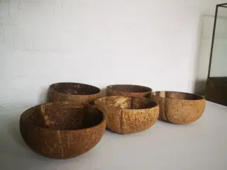 5 stk kokosnød skåle
