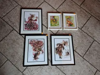 5 Anna Svane billeder