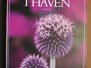 farver i haven, af jane schul, emne: hus og have