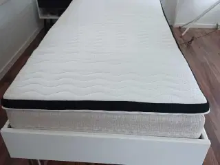 Elevationsseng