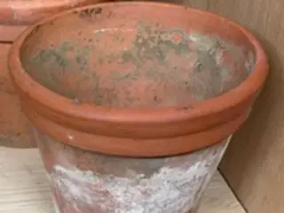 SØGER sådan en krukke: 30 cm høj og ø 31 cm 
