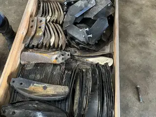 Horsh terano sliddele