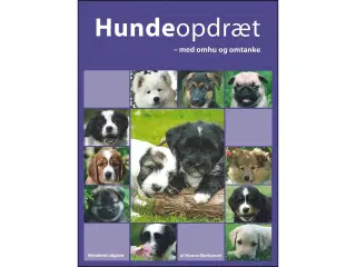Hundeopdræt - med omhu og omtanke