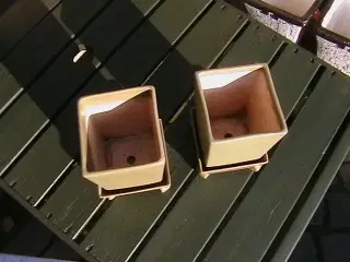 2 Plantepotter med underskåle.