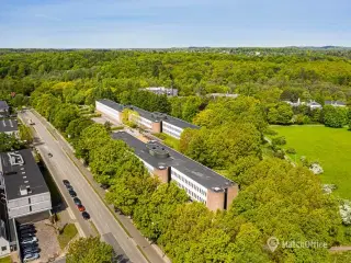 Unik arkitektur placeret i skøn natur