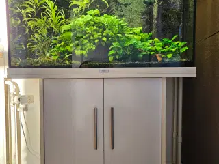 125l juwel Rio akvarie