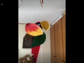 Papegøje uro fra Woody Land
