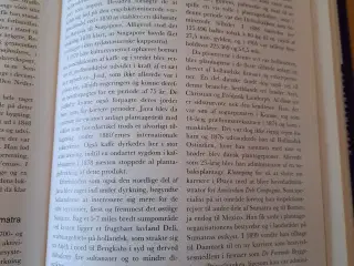Politikeren Danmarks historie Pionererne 