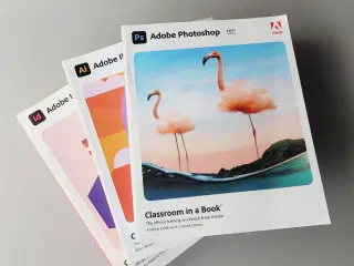 ⭐️· Adobe Classroom Photoshop Illustrator InDesign