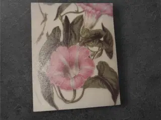 Fejr Blomsterens Skønhed med Vores Elegante Papira