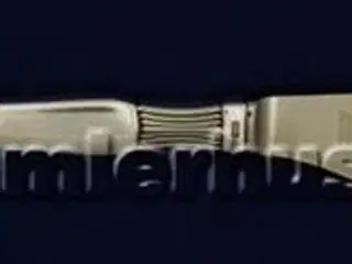 Anja Middagskniv, 21 cm.