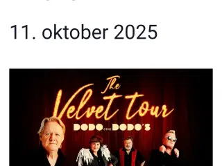 Dodo and the Dodos - koncert biletter 