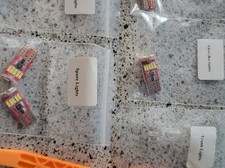 LED Pærer til loft og handske rums lys WV