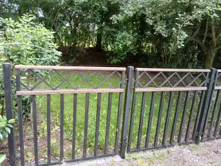 Jernhegn