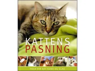 Kattens pasning - hold din kat sund og glad