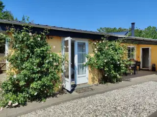 Dejligt sommerhus Aloha med b�rnevenlig strand n�r Skagen