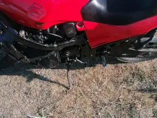 Suzuki GSX 600f 
