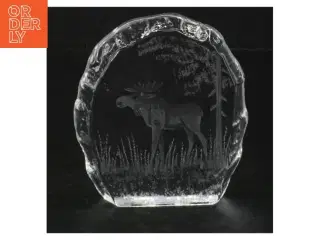 Glasfigur af elg i skov (str. 8,5 cm)