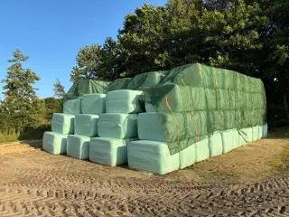 Wrap 1.slæt 2025