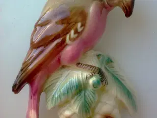 Vægfugl vintage på kogler